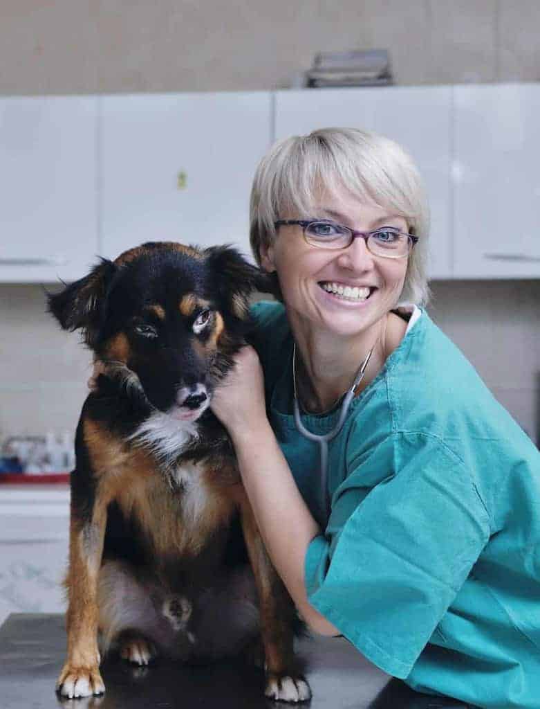Certificate courses for vet nurses at Canine Health and Wellbeing Academy Certificate courses for vet nurses at Canine Health and Wellbeing Academy