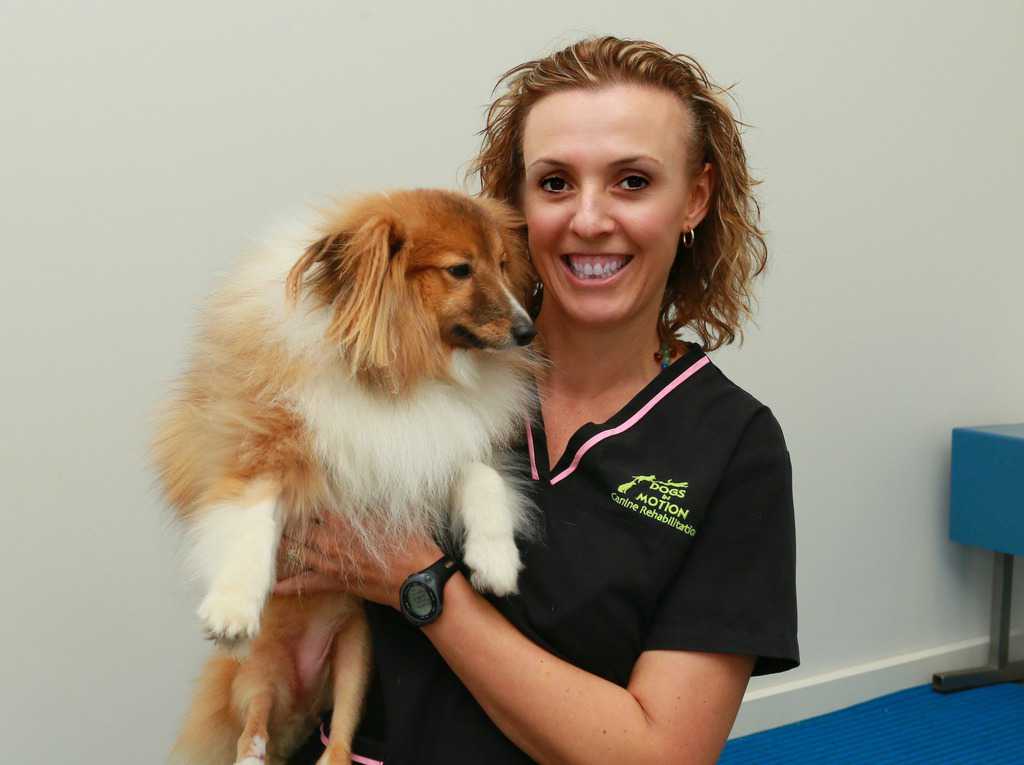 Michelle Monk Canine Health & Wellbeing Academy Canine Courses Michelle Monk Canine Health & Wellbeing Academy Canine Courses